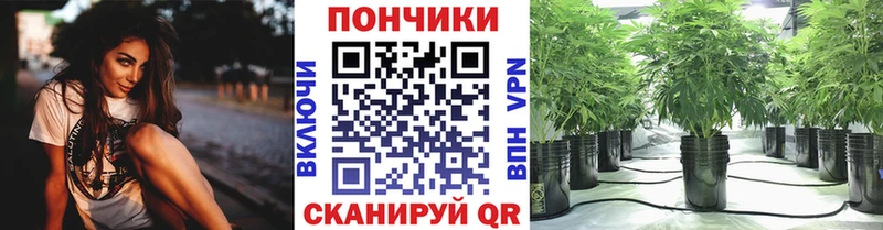 Где купить наркоту Сланцы APVP МЕФ ОМГ ОМГ ссылка Cocaine МАРИХУАНА