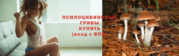 мдма Бронницы
