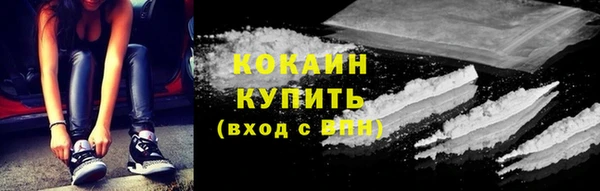 гидра Богородск