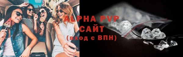 дживик Бородино