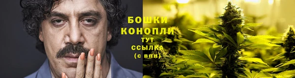 гидра Богородск