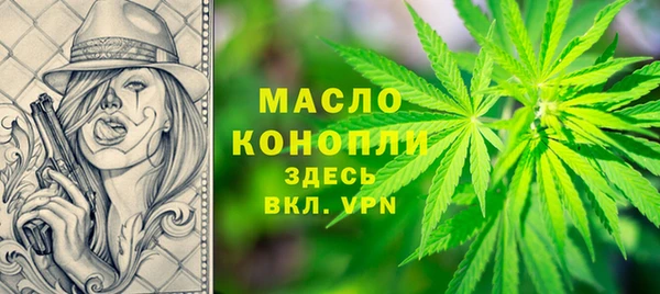 дживик Бородино