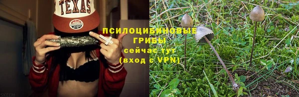 индика Пролетарск