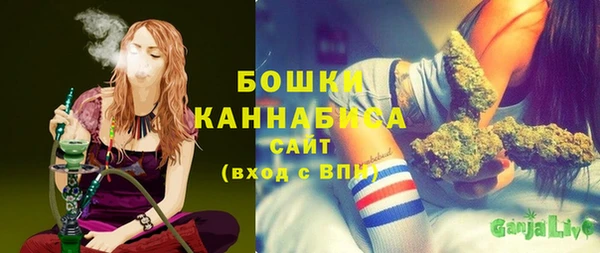 дживик Бородино