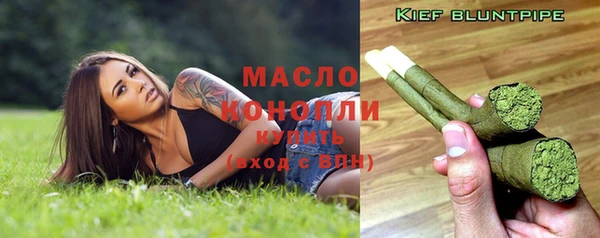 гидра Богородск