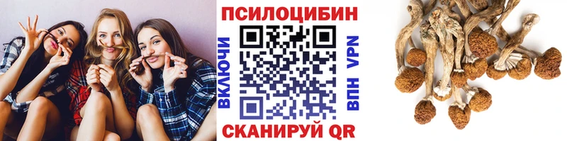 Псилоцибиновые грибы MAGIC MUSHROOMS  OMG вход  Сланцы  наркота 